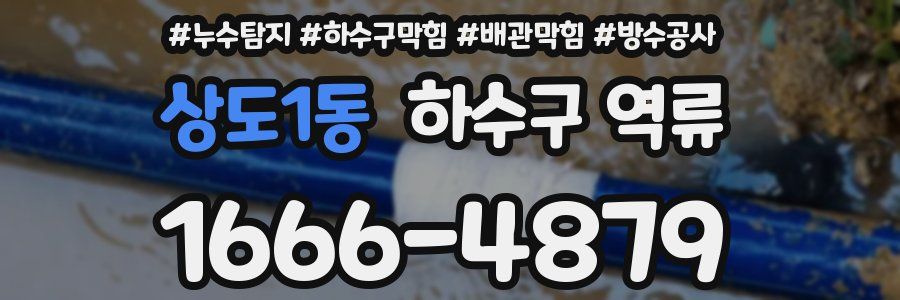 상도1동 하수구 역류