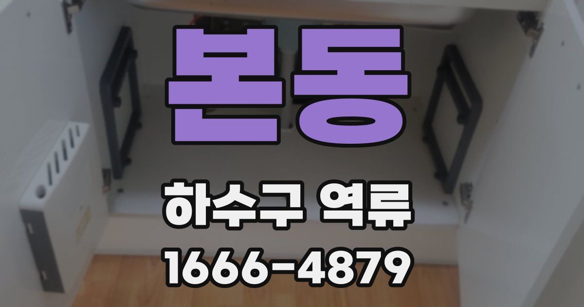 본동 하수구 역류