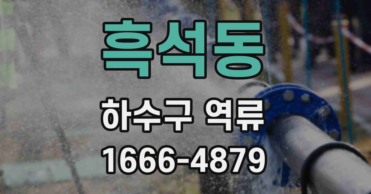 흑석동 하수구 역류