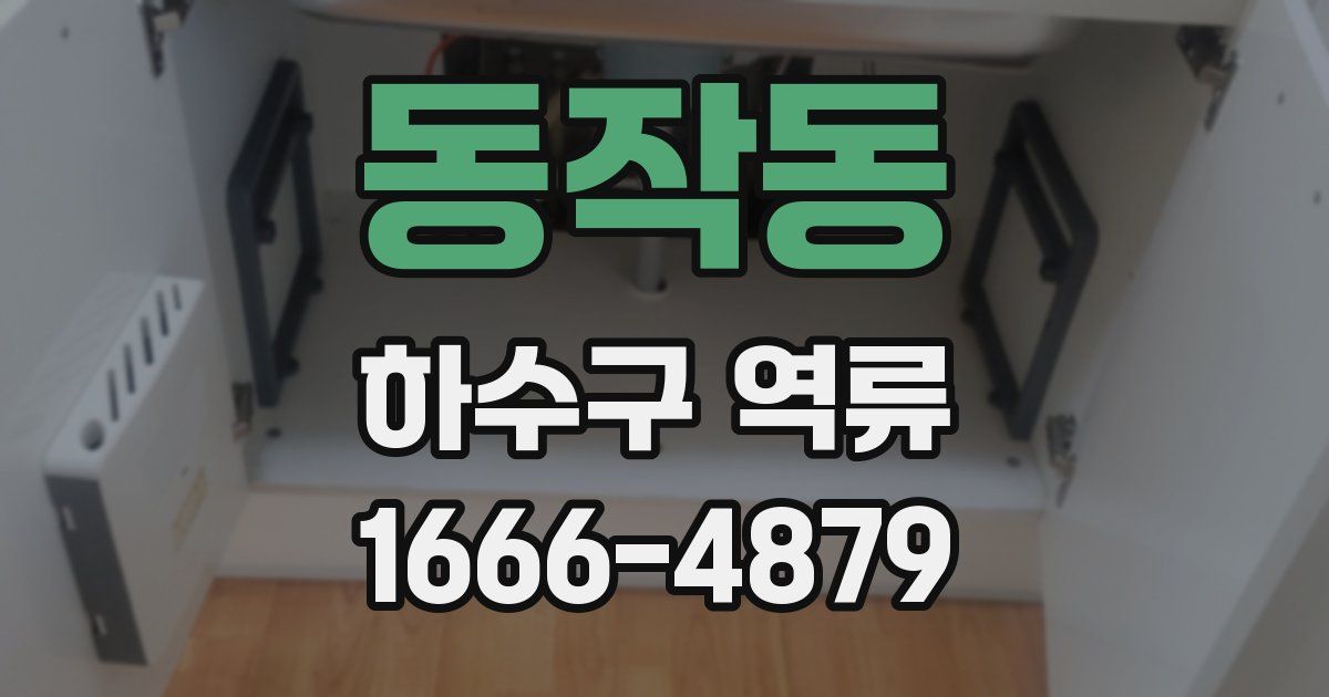 동작동 하수구 역류