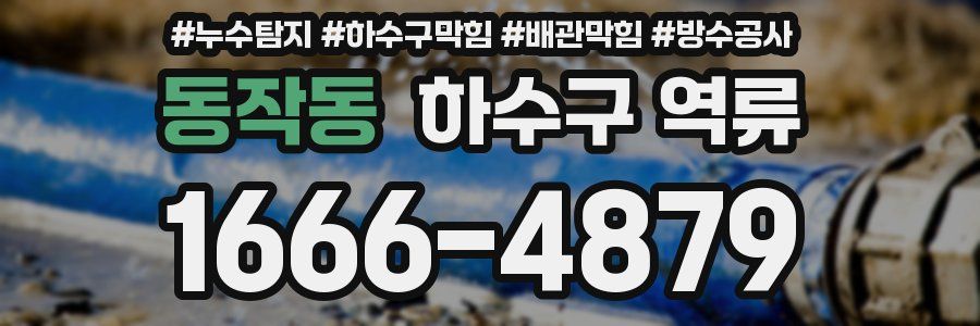 동작동 하수구 역류