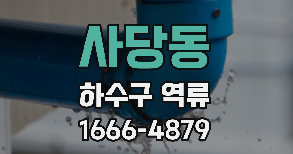 사당동 하수구 역류