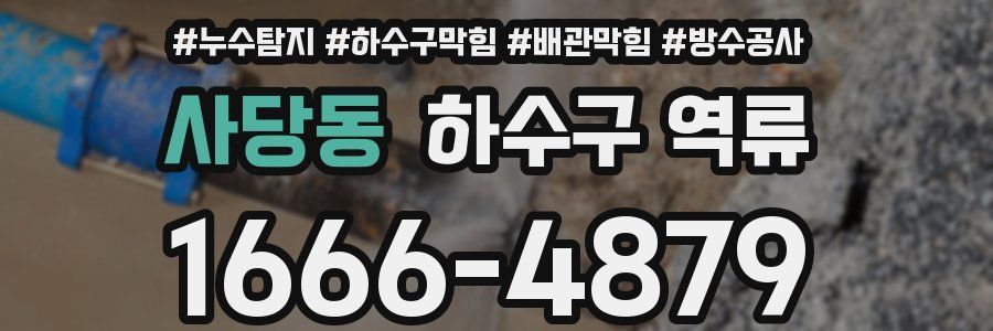 사당동 하수구 역류