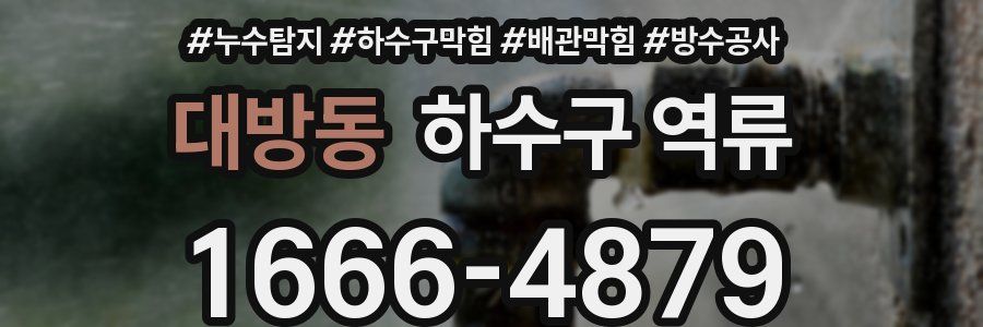 대방동 하수구 역류
