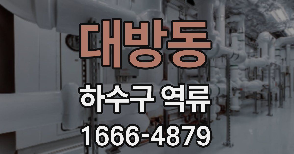 대방동 하수구 역류