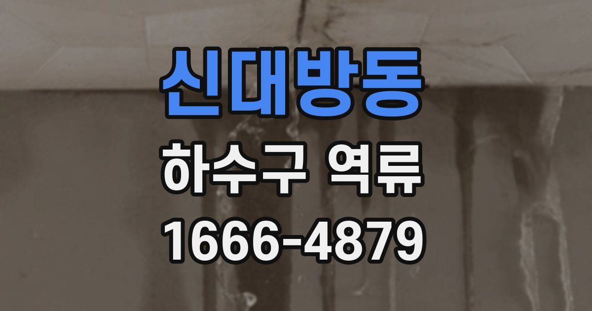 신대방동 하수구 역류