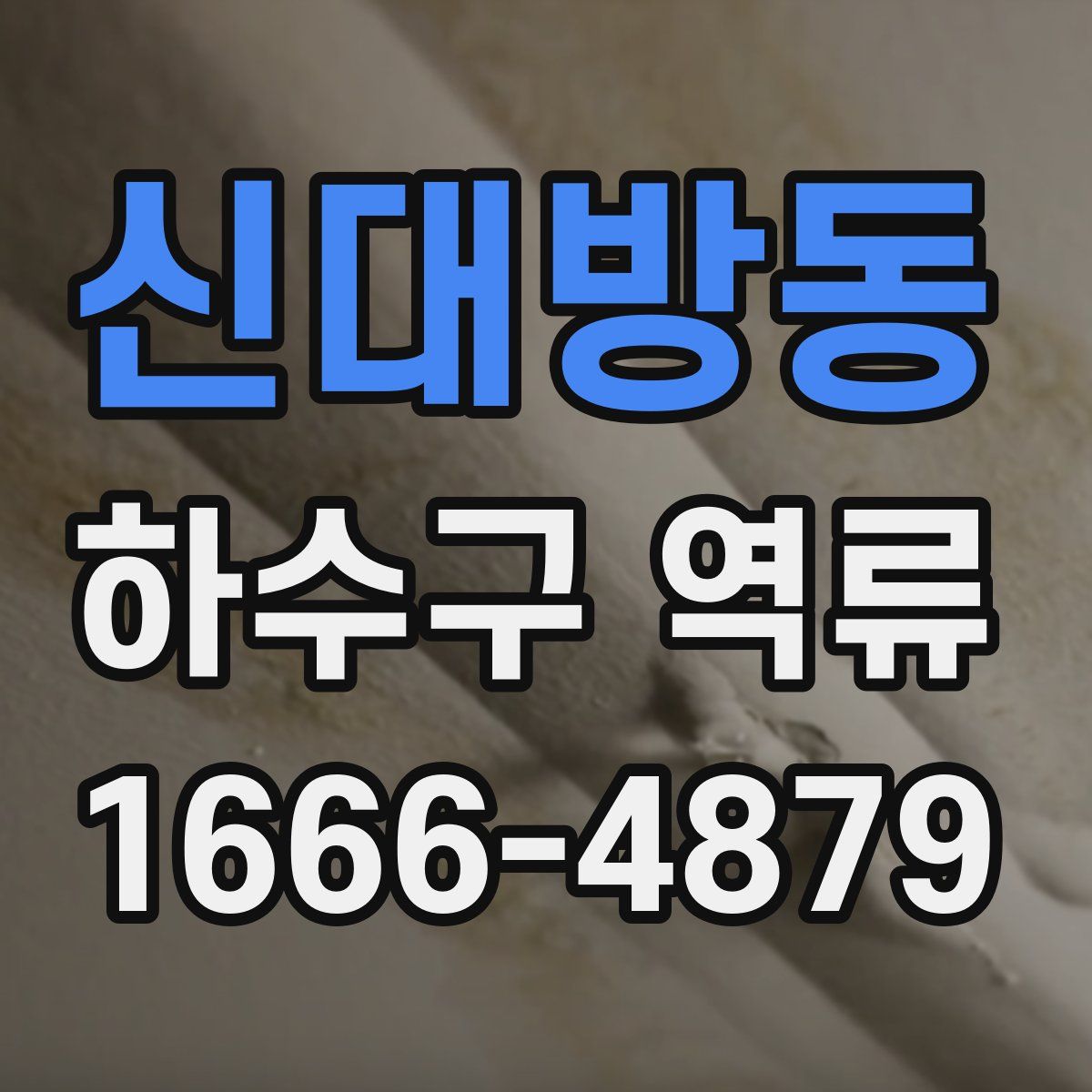 신대방동 하수구 역류