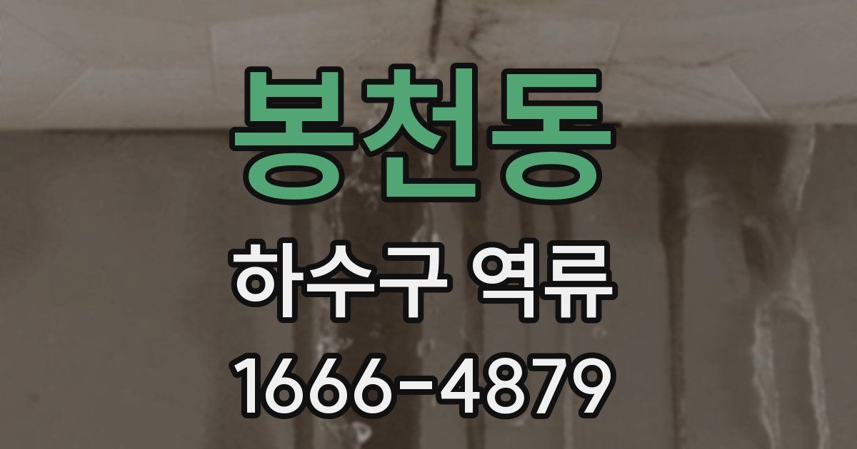 봉천동 하수구 역류