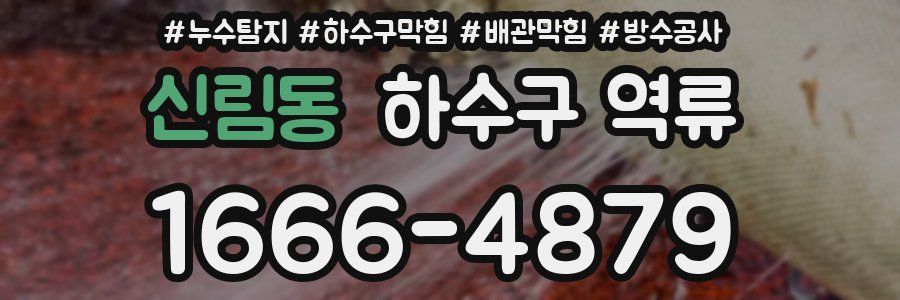 신림동 하수구 역류