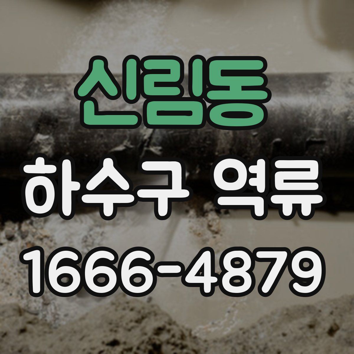 신림동 하수구 역류