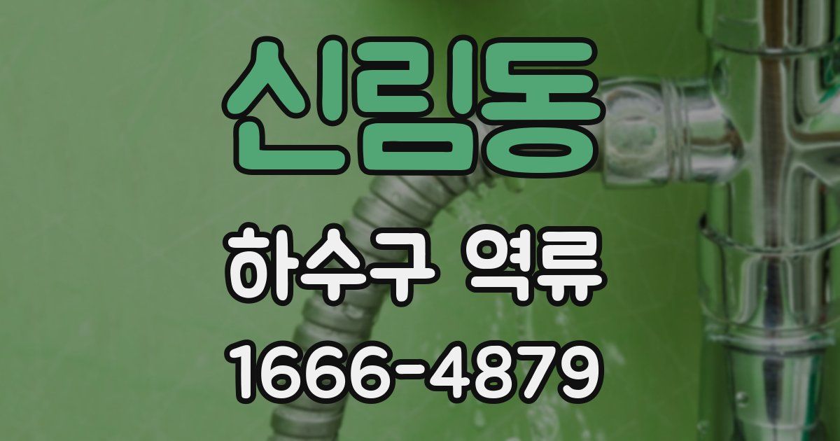신림동 하수구 역류