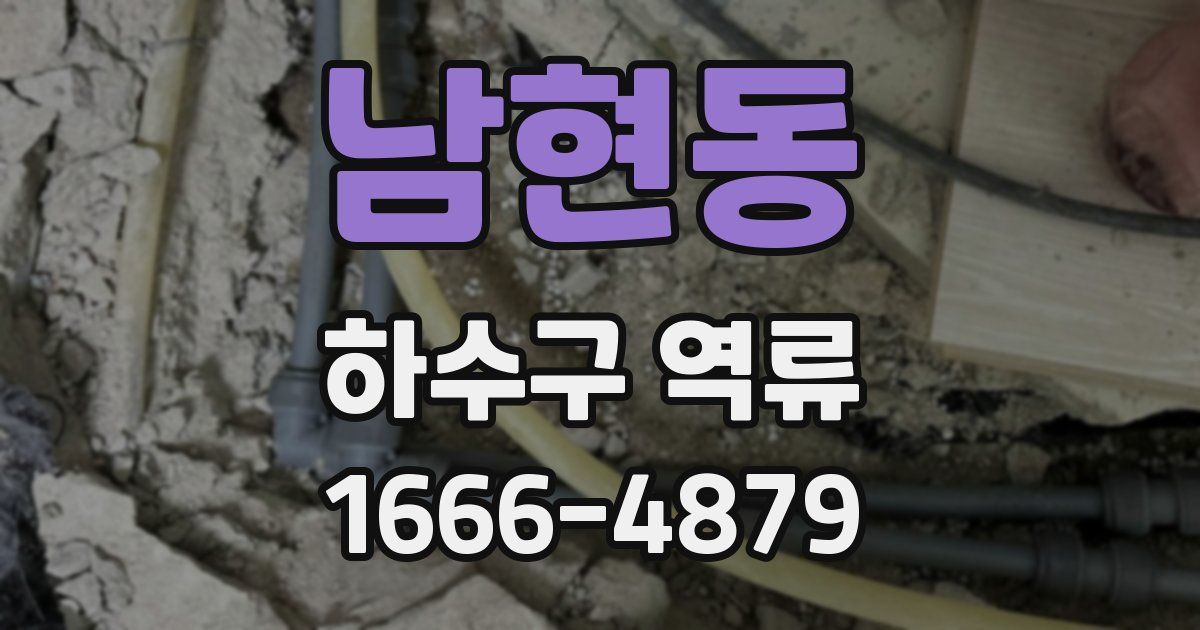 남현동 하수구 역류