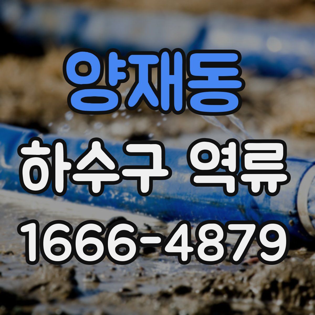 양재동 하수구 역류