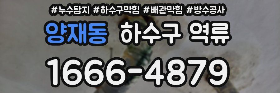 양재동 하수구 역류