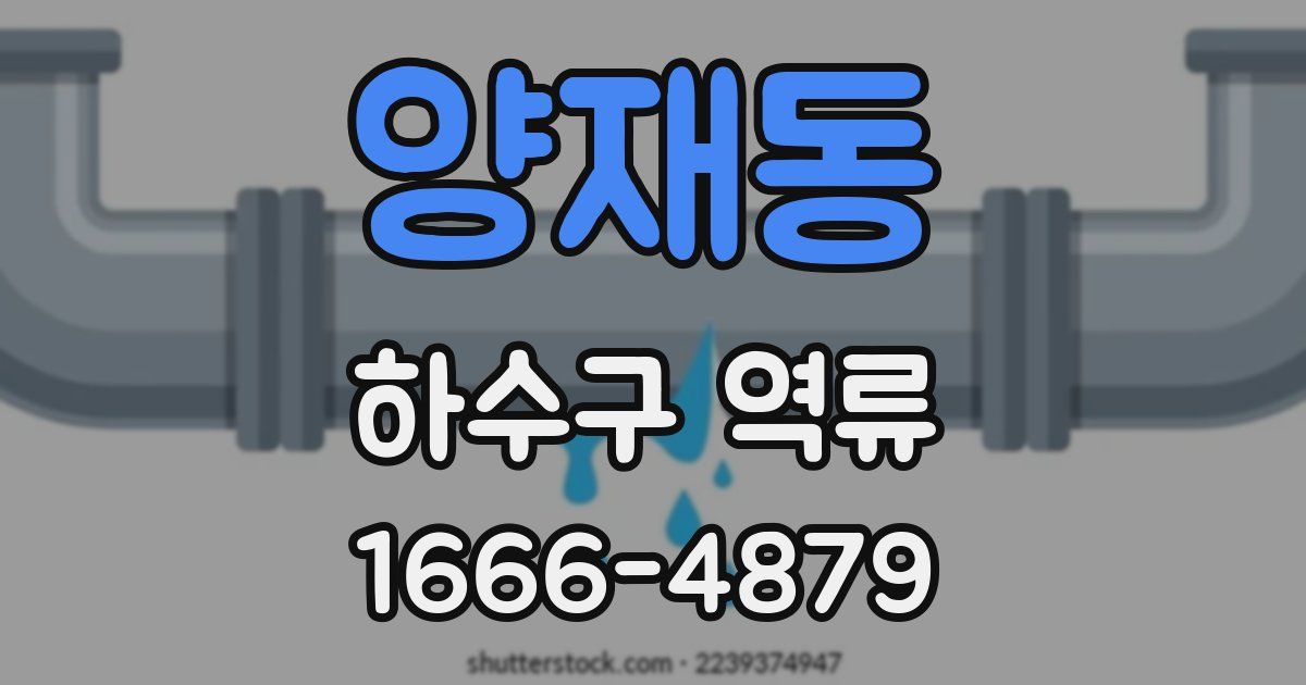 양재동 하수구 역류