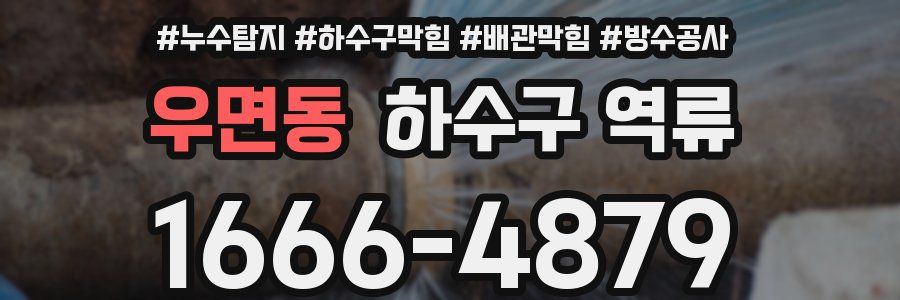 우면동 하수구 역류