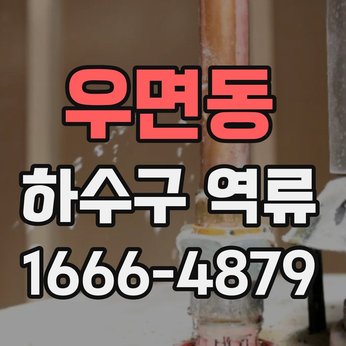 우면동 하수구 역류