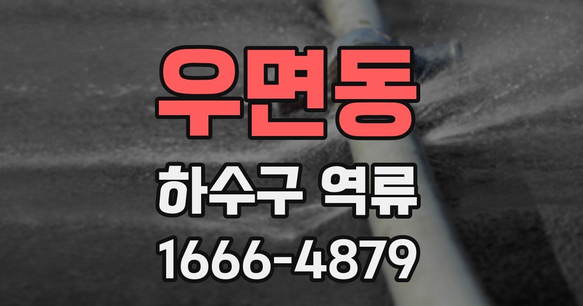 우면동 하수구 역류