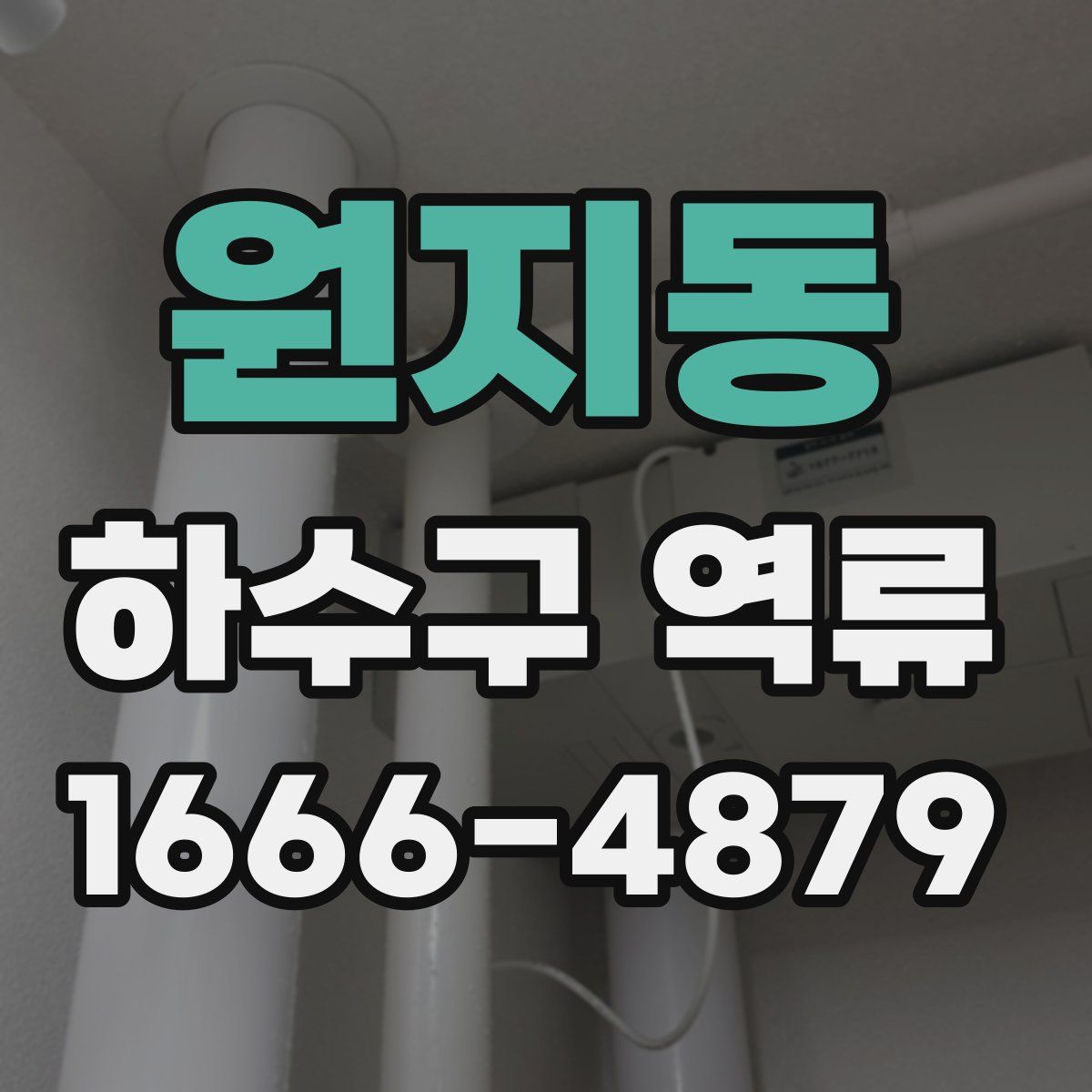 원지동 하수구 역류
