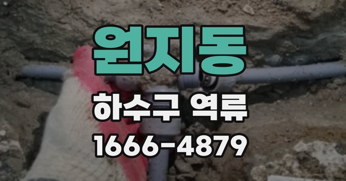 원지동 하수구 역류