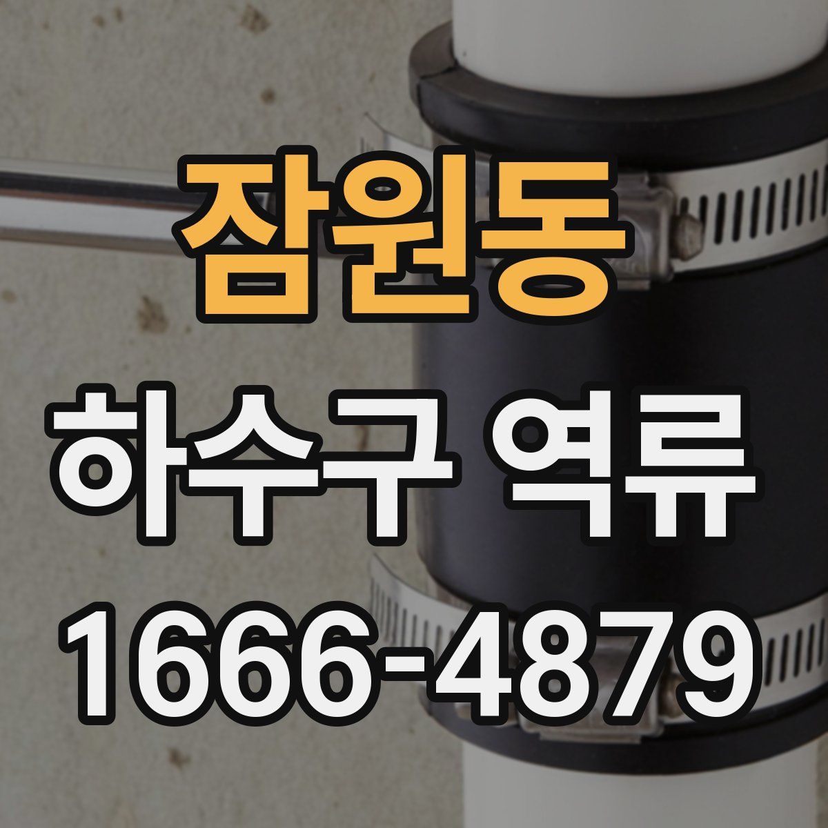 잠원동 하수구 역류