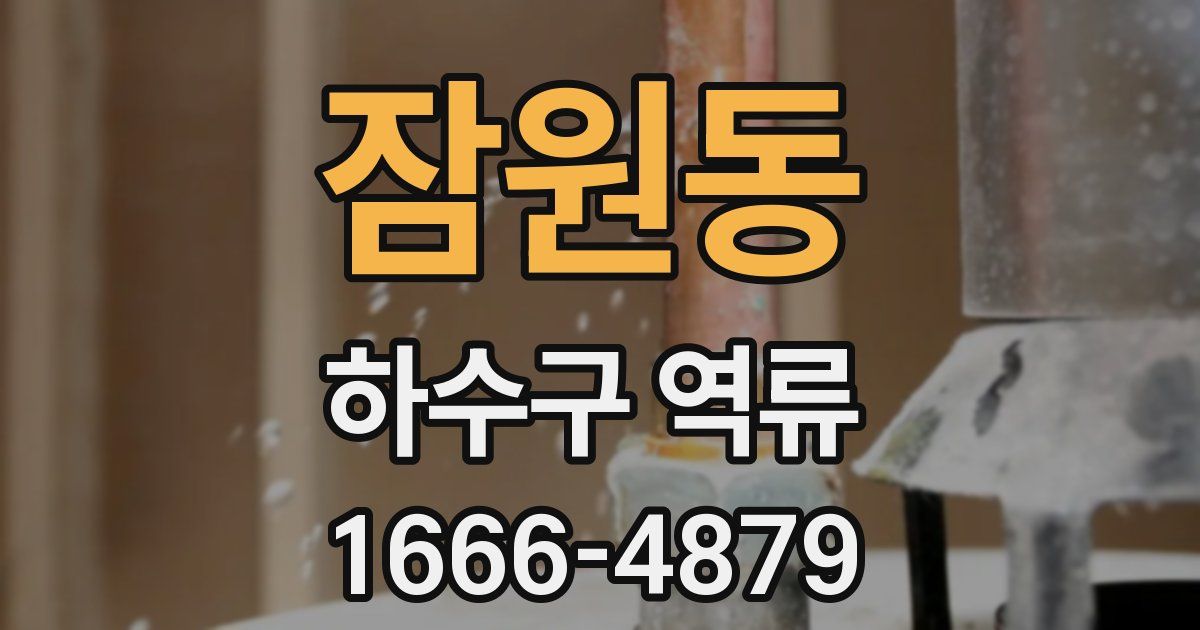 잠원동 하수구 역류