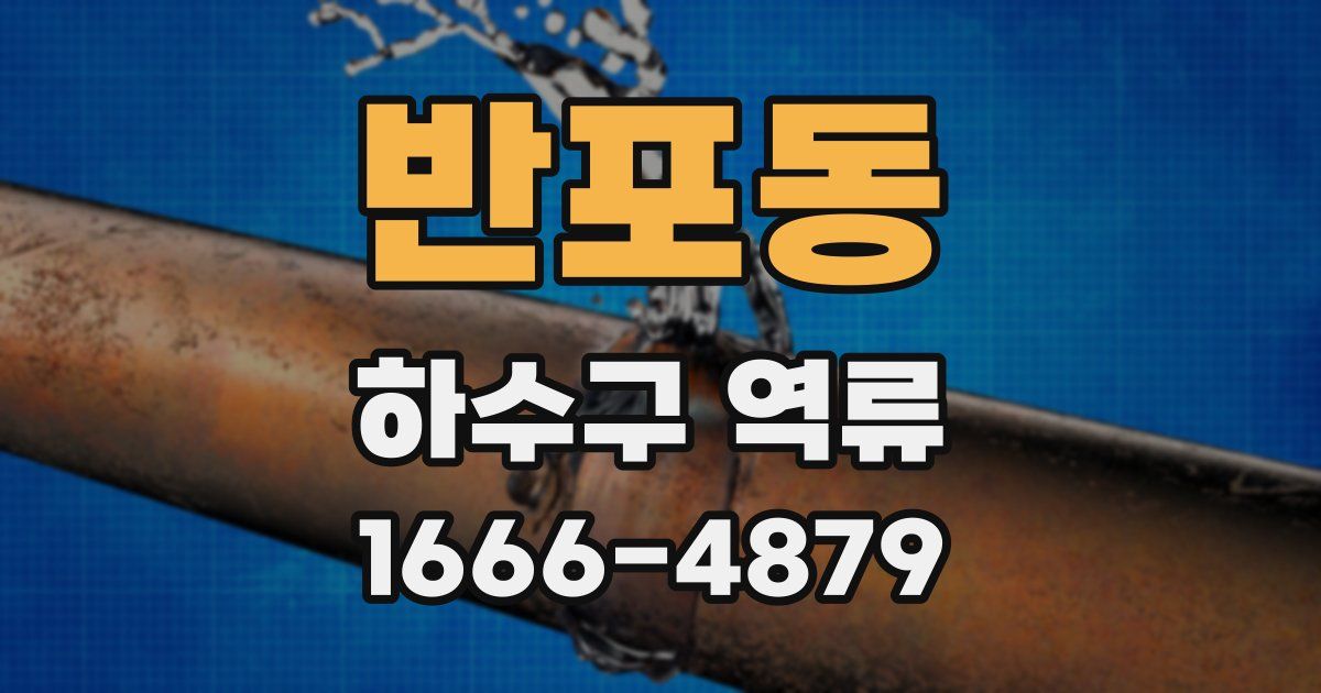 반포동 하수구 역류