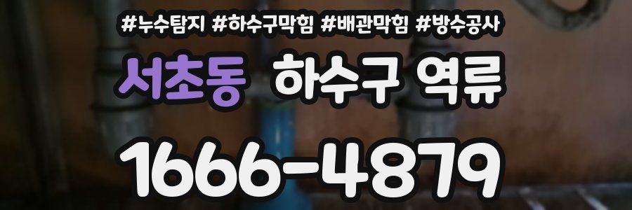서초동 하수구 역류