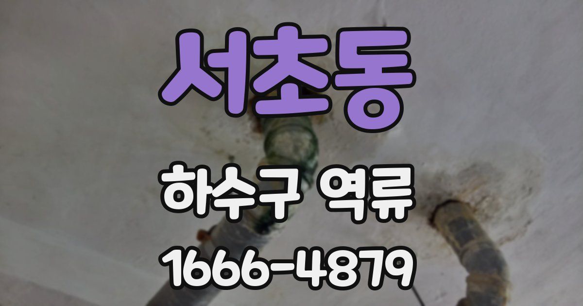 서초동 하수구 역류