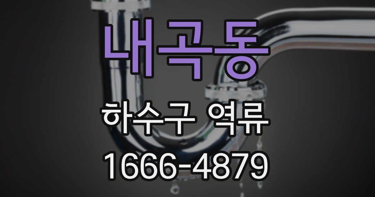 내곡동 하수구 역류