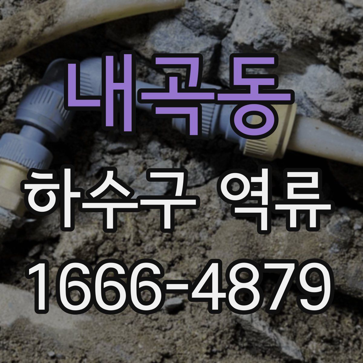 내곡동 하수구 역류
