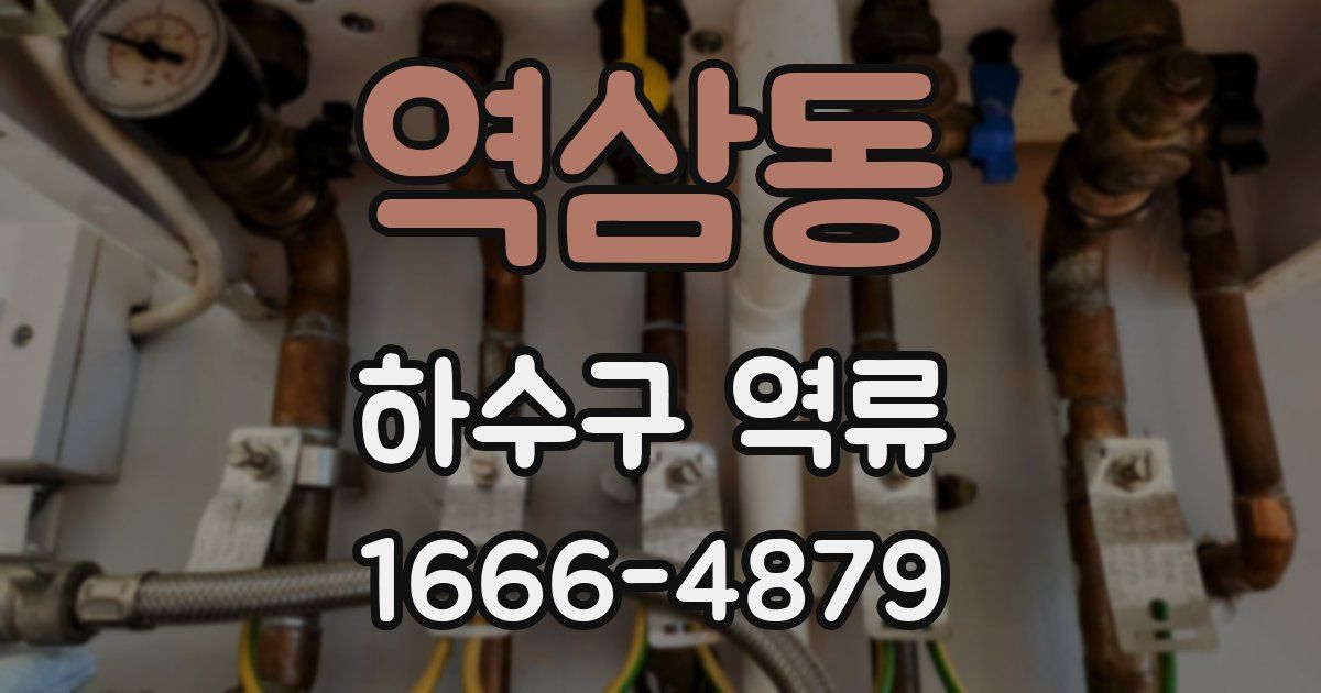 역삼동 하수구 역류