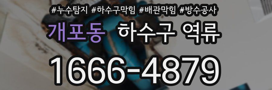 개포동 하수구 역류