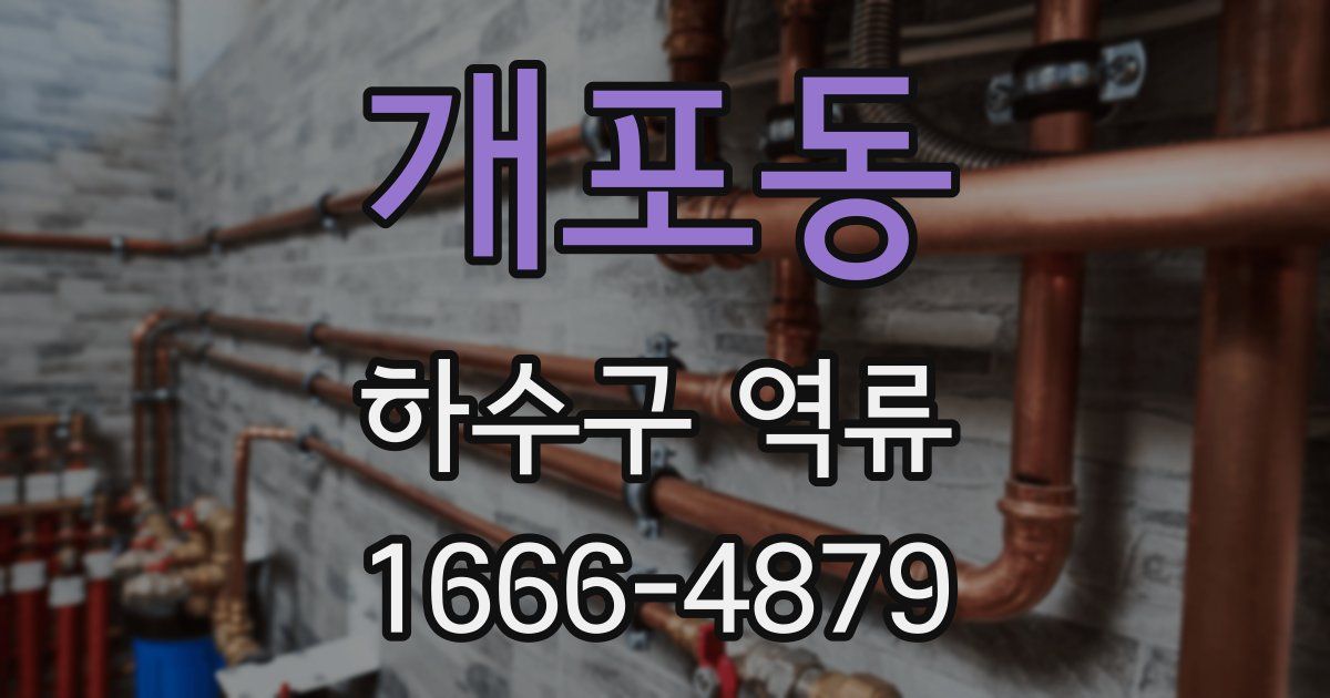 개포동 하수구 역류