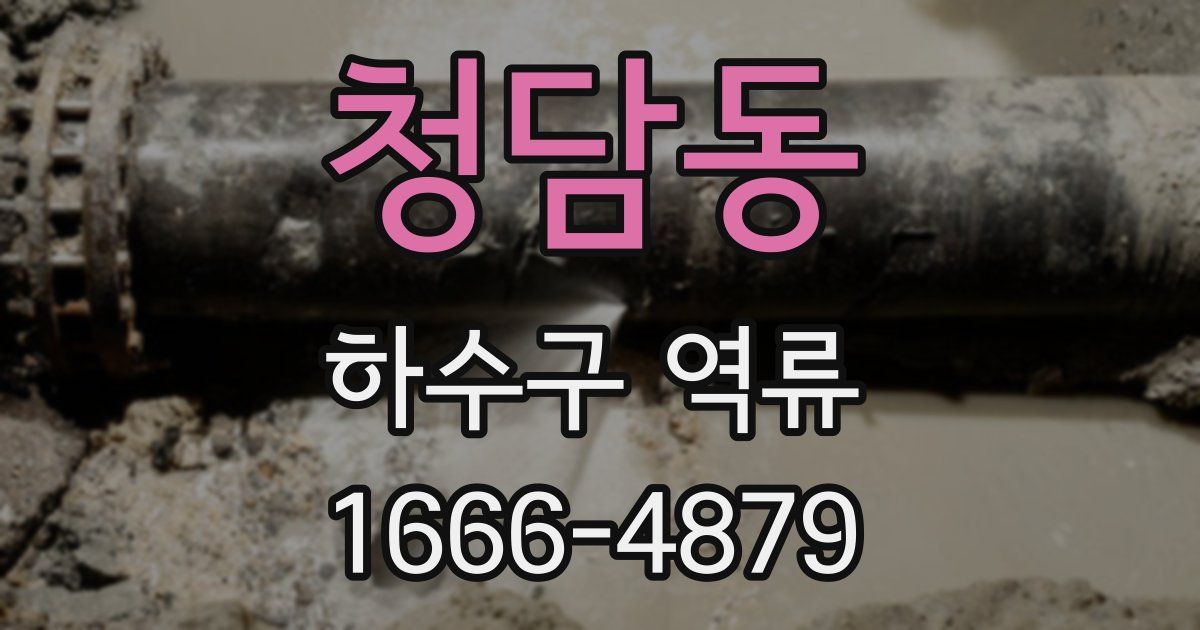 청담동 하수구 역류