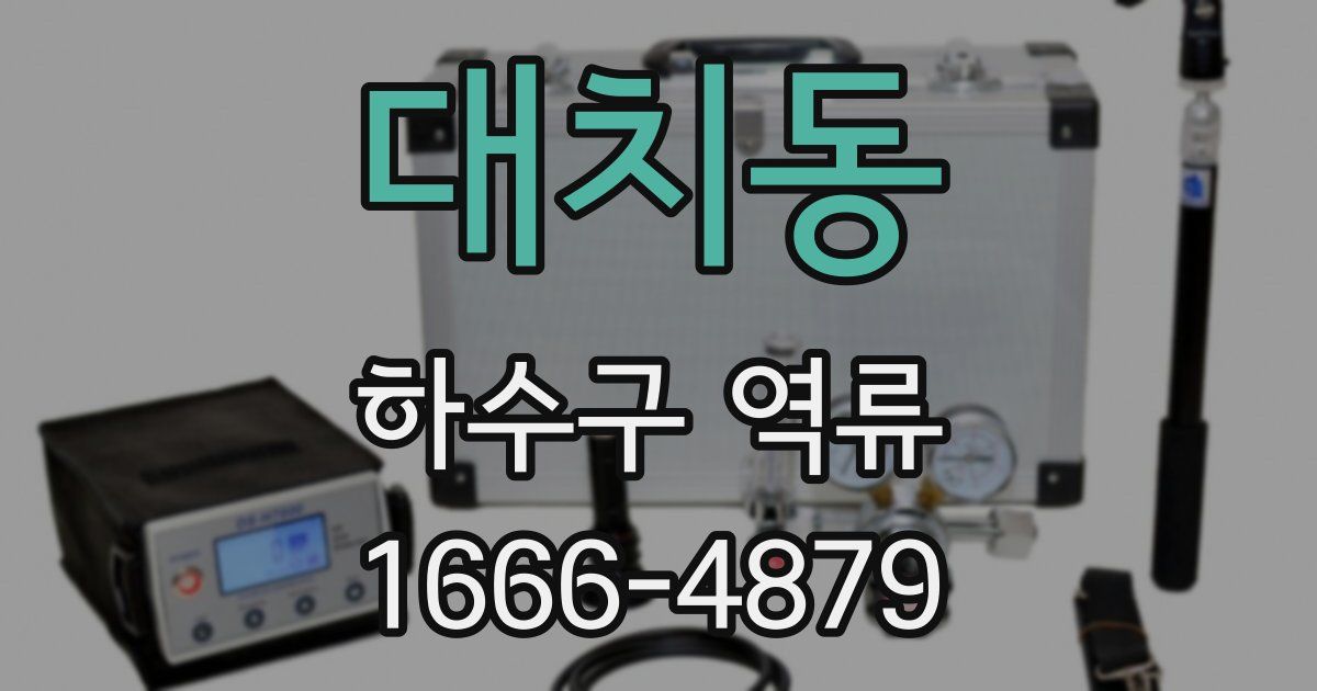 대치동 하수구 역류