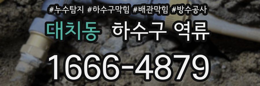 대치동 하수구 역류