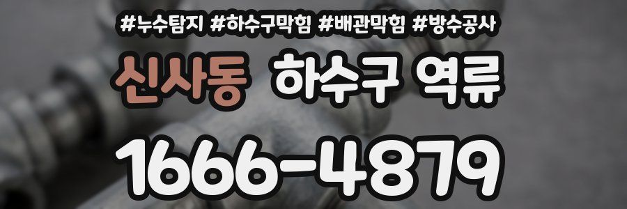 신사동 하수구 역류