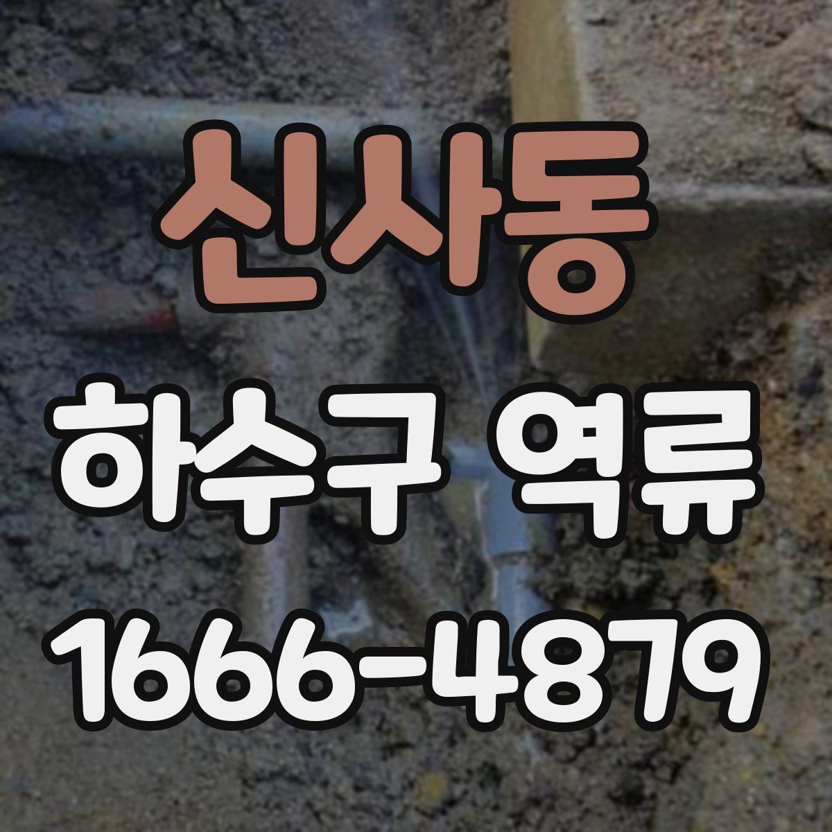 신사동 하수구 역류