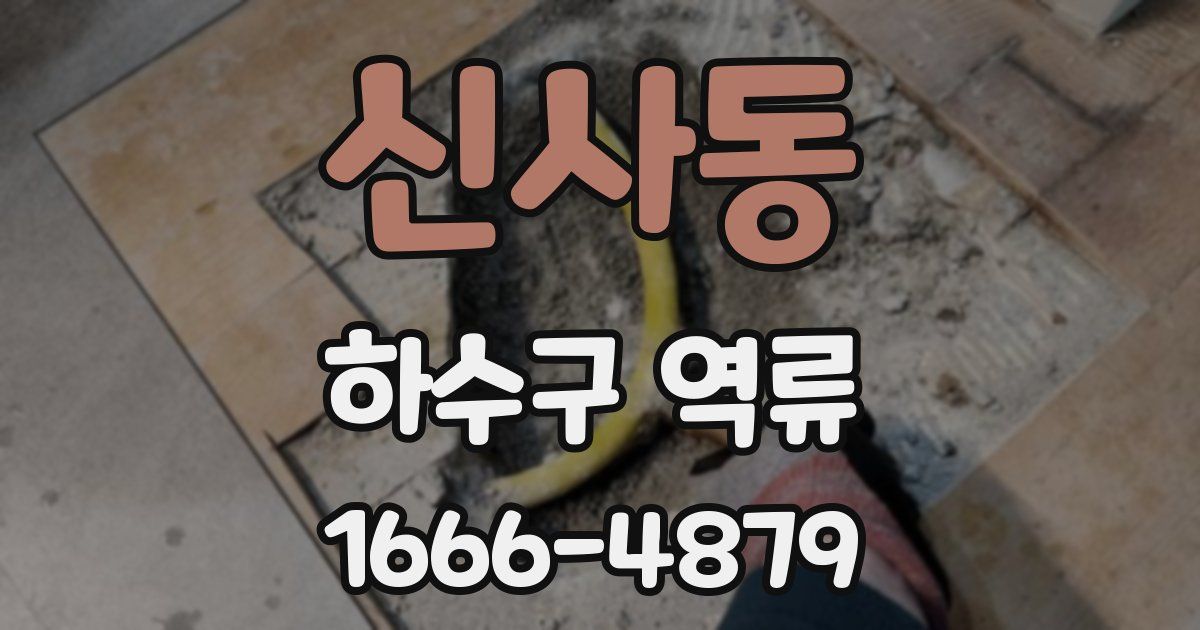 신사동 하수구 역류