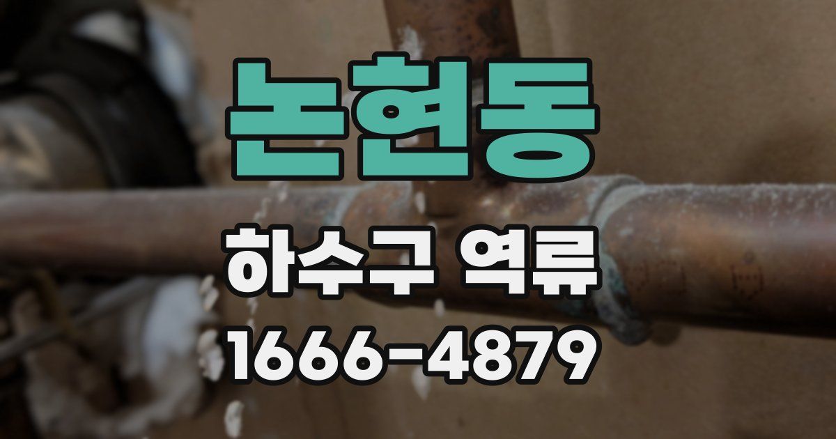 논현동 하수구 역류