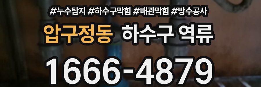 압구정동 하수구 역류