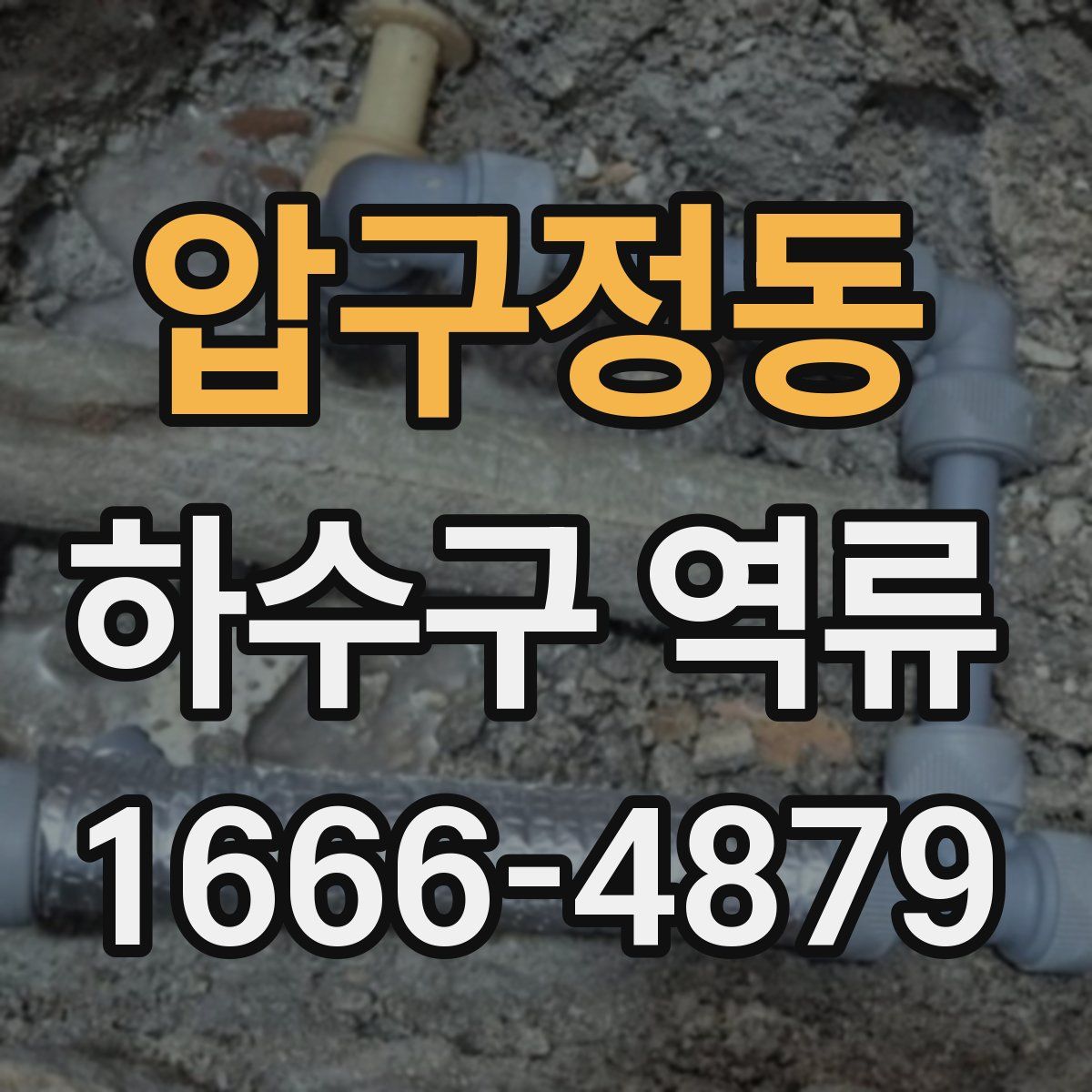 압구정동 하수구 역류