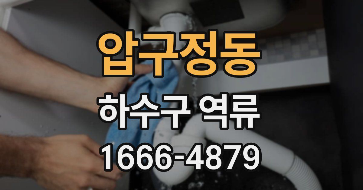 압구정동 하수구 역류