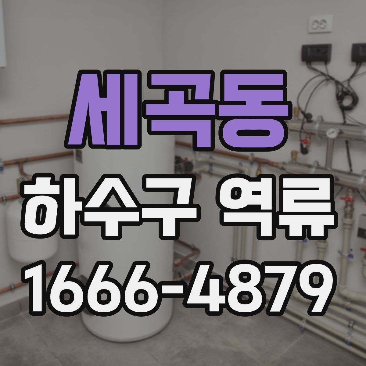 세곡동 하수구 역류