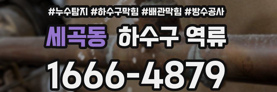 세곡동 하수구 역류