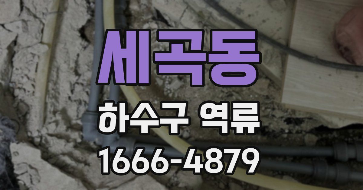 세곡동 하수구 역류