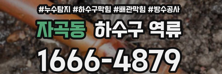 자곡동 하수구 역류