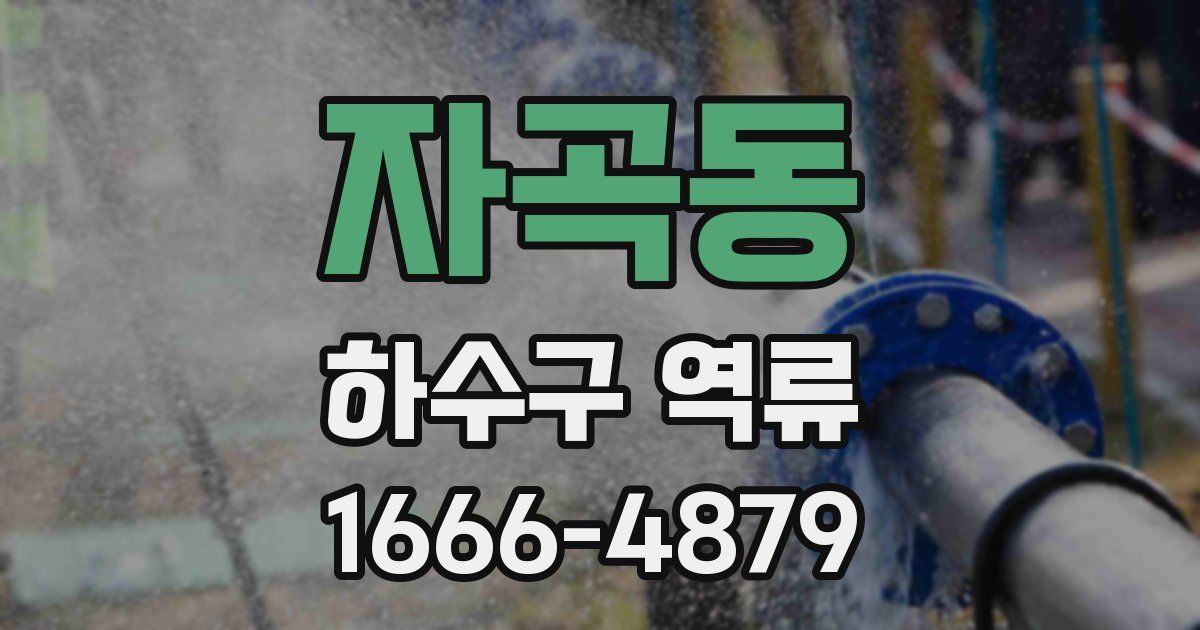 자곡동 하수구 역류