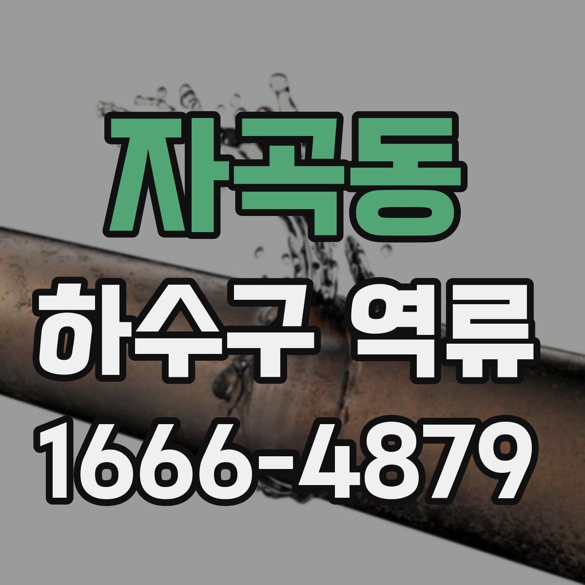 자곡동 하수구 역류